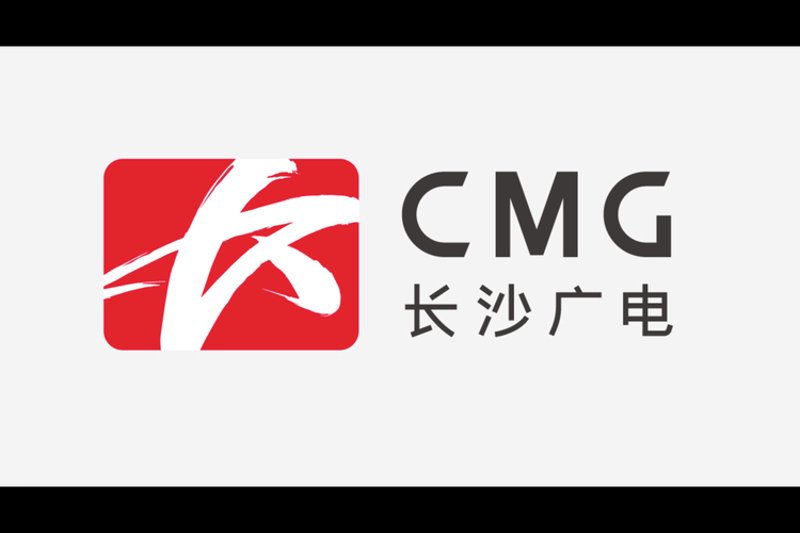 上海网络技术公司的创新与发展